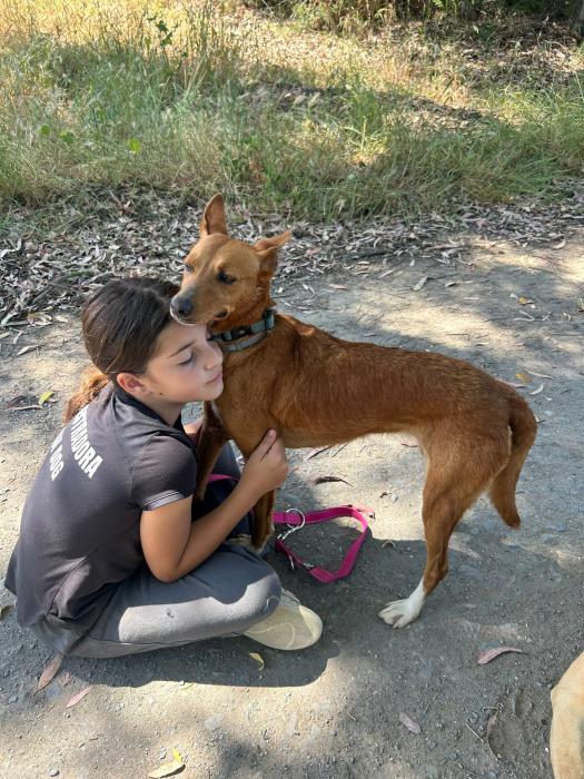 Bimba