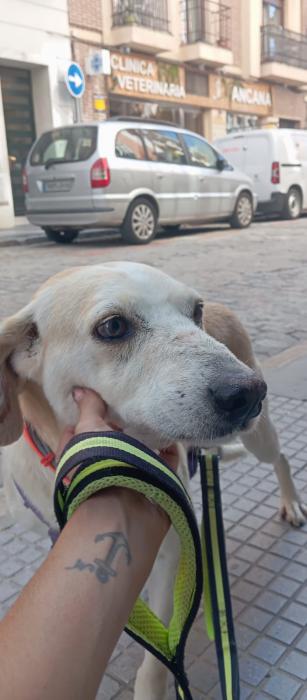 Lublú