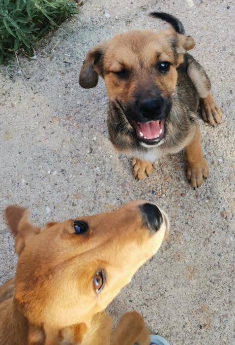 Zula
