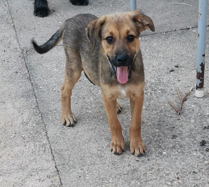 Zula