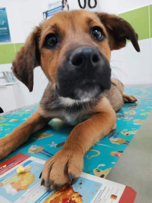 Zula