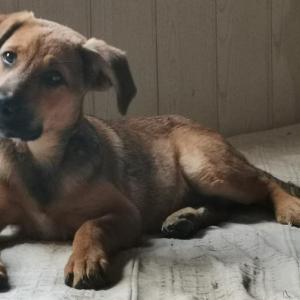 Zula