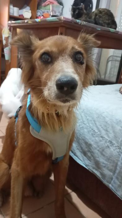Benito