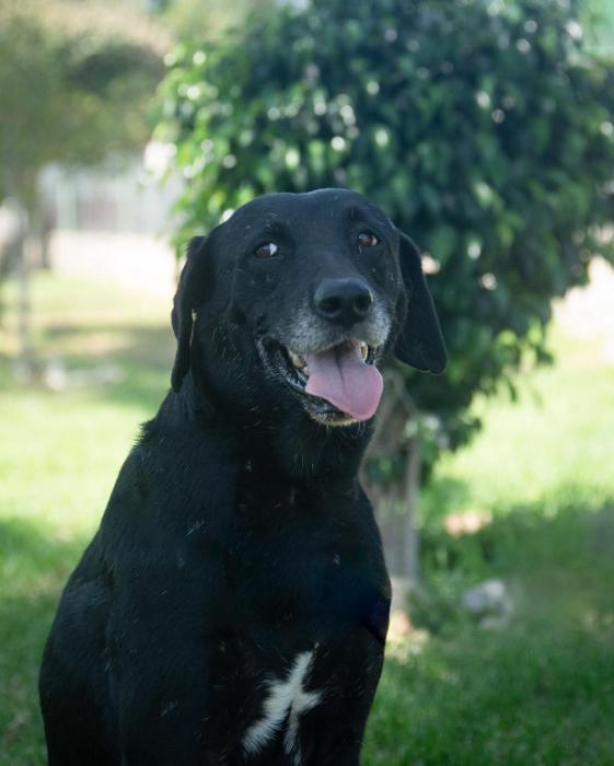 Luna