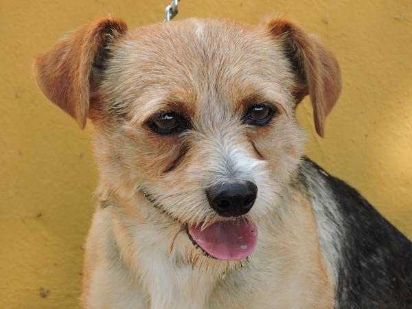 DESAPARECIDO....N&ordm; 380