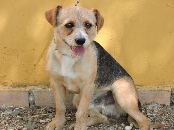 DESAPARECIDO....N&ordm; 380