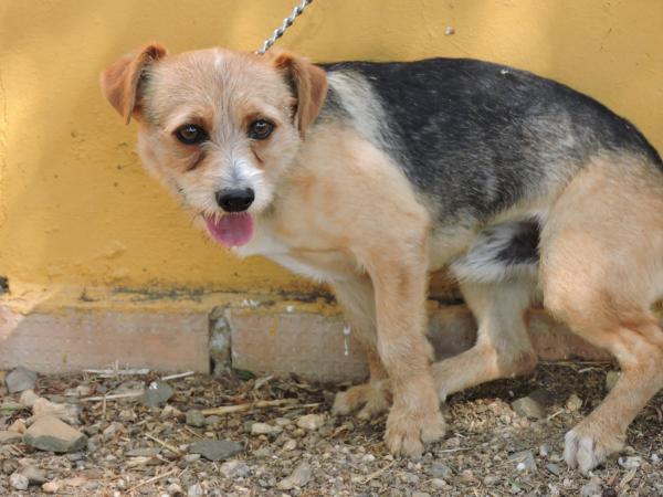 DESAPARECIDO....N&ordm; 380